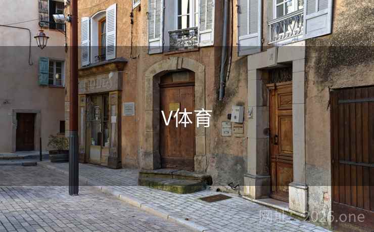 V体育