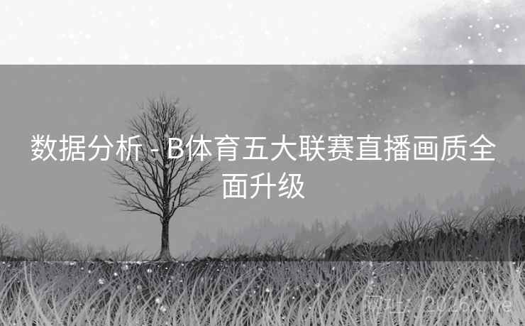 数据分析 - B体育五大联赛直播画质全面升级