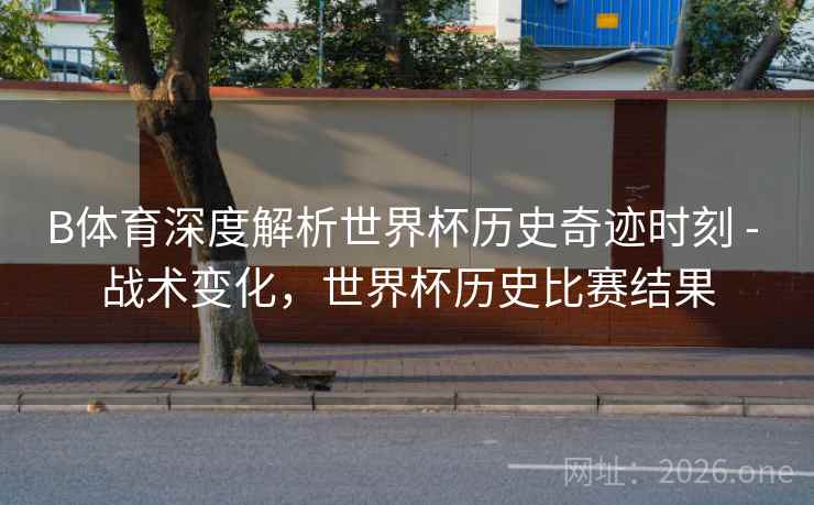 B体育深度解析世界杯历史奇迹时刻 - 战术变化，世界杯历史比赛结果