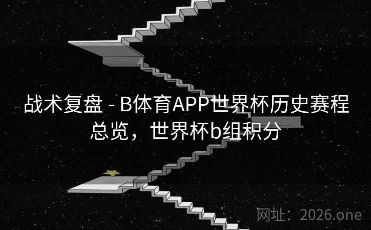 战术复盘 - B体育APP世界杯历史赛程总览，世界杯b组积分