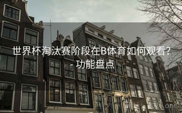 世界杯淘汰赛阶段在B体育如何观看？ - 功能盘点