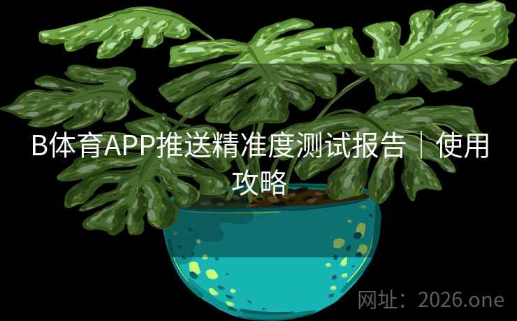 B体育APP推送精准度测试报告｜使用攻略